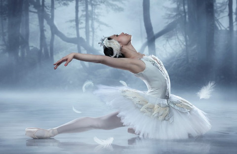 Tchaikovsky ballet "Swan Lake"